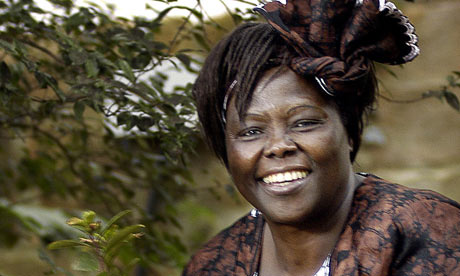Wangari Maathai. Photo:  Gianluigi Guercia