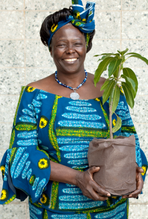 Everything from forestation to micro credit has become “roads to peace”. The concept of peace is therefore manifold. Peace Prize Laureate 2004 Wangari Maathai, who received the prize 'For her contribution to sustainable development, democracy and peace'