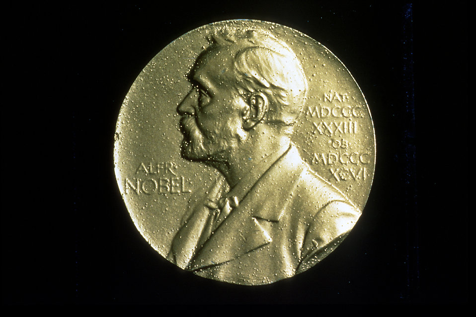 17280-the-front-of-a-nobel-prize-medal-pv